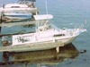 1991 Boston Whaler WA Offshore Sieres