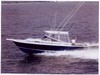 1987 Blackfin 29 Combi