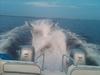 1997 Sea Cat SL3